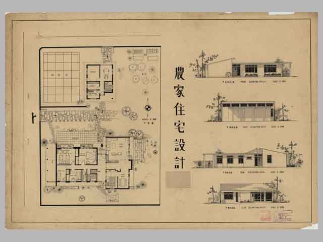 61級 楊新元